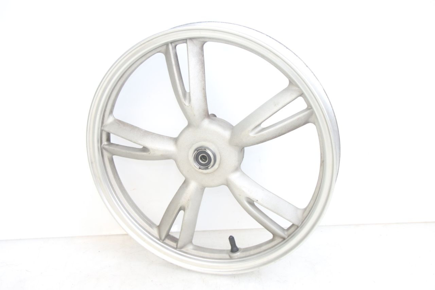 photo de ARO DIANTEIRO PEUGEOT TWEET 4T 50 (2014 - 2019) - Vista principal
