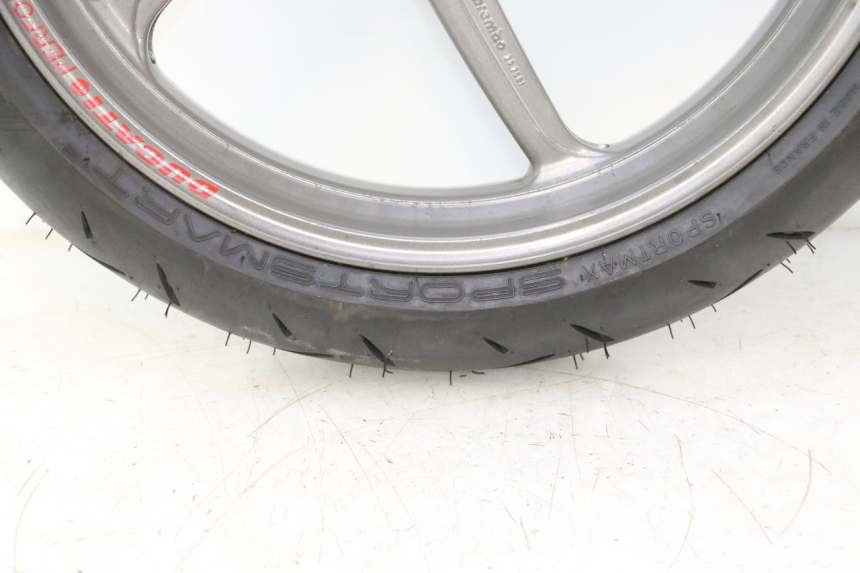 photo de ARO DIANTEIRO E PNEU DUCATI SS IE DS CARENEE 1000 (2002 - 2006) - Vista principal