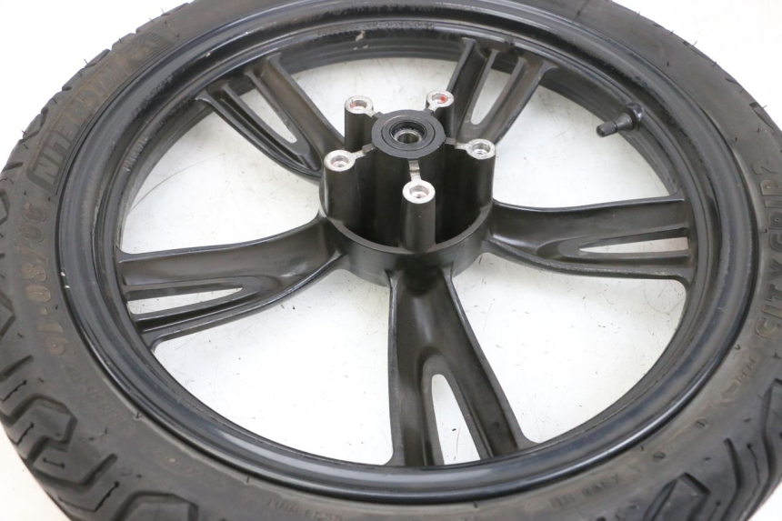 photo de ARO DIANTEIRO E PNEU PEUGEOT TWEET PRO EFI 4T 50 (2021 - 2022) - Marcações e referências