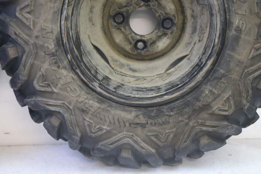 photo de ARO DIANTEIRO E PNEU YAMAHA YFM GRIZZLY 550 (2008 - 2015) - Vista de perfil