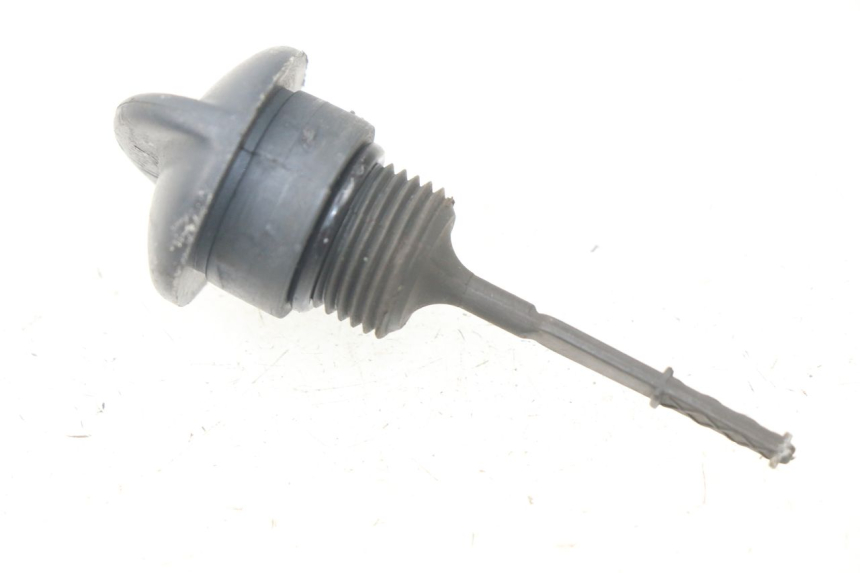 photo de MEDIDOR DE ÓLEO DO MOTOR PIAGGIO X9 125 (2000 - 2003) - Vista principal