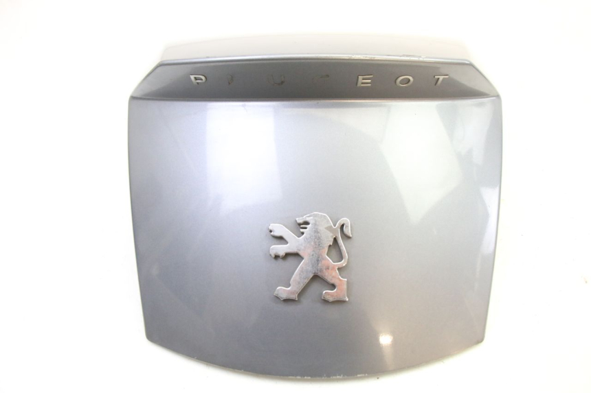 photo de JUNÇÃO DO CARENAGEM TRASEIRO PEUGEOT SATELIS 250 (2006 - 2012) - Zoom do estado de desgaste