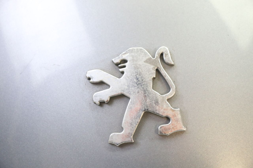 photo de JUNÇÃO DO CARENAGEM TRASEIRO PEUGEOT SATELIS 250 (2006 - 2012) - Ampliação técnica