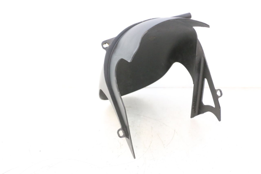 photo de RASPADOR DE RODA DUCATI SS IE DS CARENEE 1000 (2002 - 2006) - Ampliação técnica