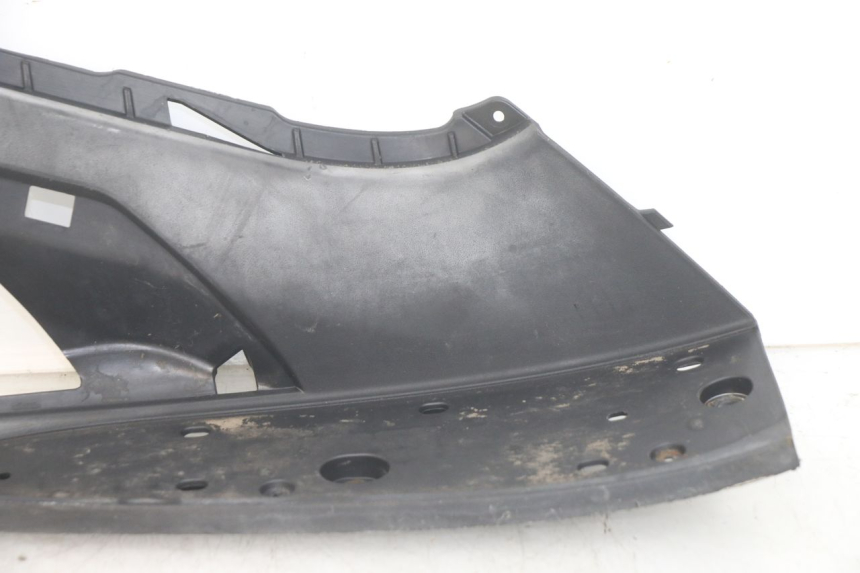 photo de ESTRIBO DIREITO PEUGEOT GEOPOLIS RS 125 (2007 - 2009) - Vista geral