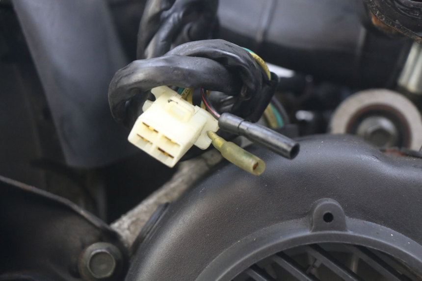 photo de MOTOR WILDLANDER BISCUIT 125 (2004 - 2010) - Detalhes característicos