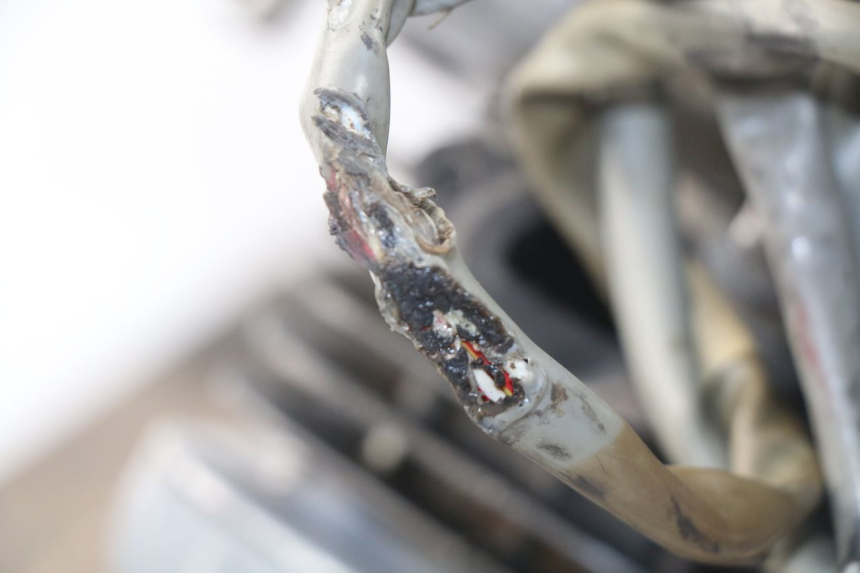 photo de MOTOR YAMAHA BW'S 50 (2004 - 2017) - Detalhe da peça