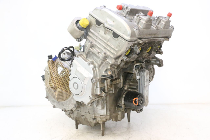 photo de MOTOR HONDA CB F HORNET 600 (2005 - 2006) - Vista principal