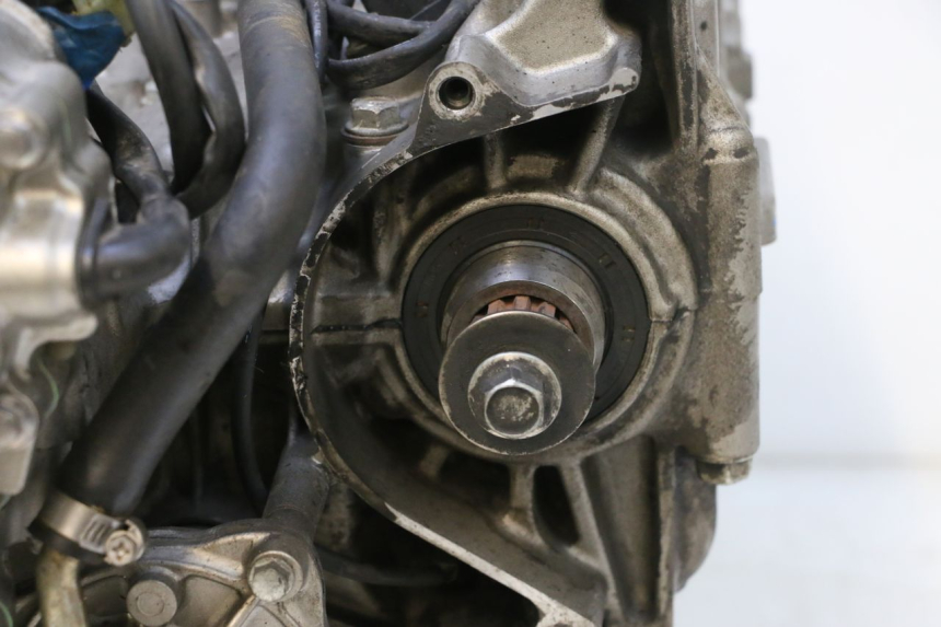 photo de MOTOR HONDA CB F HORNET 600 (2005 - 2006) - Vista de perto