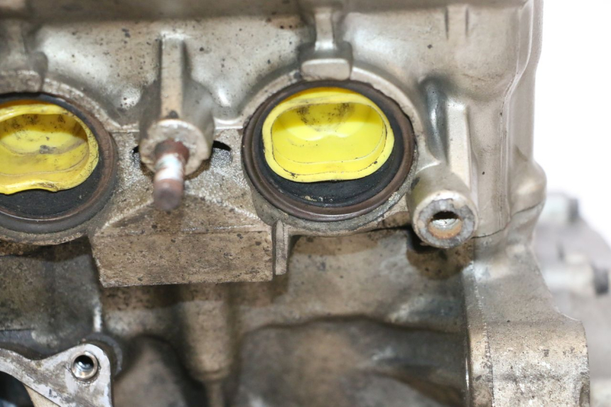 photo de MOTOR HONDA CB F HORNET 600 (2005 - 2006) - Estado da superfície