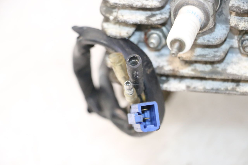 photo de MOTOR TGB CITY RS 50 (2011 - 2016) - Peça verificada