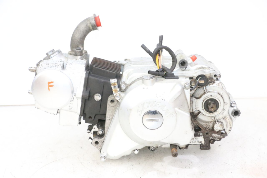 photo de MOTOR SKYTEAM DAX REPLICA 110 (2005 - 2015) - Vista principal