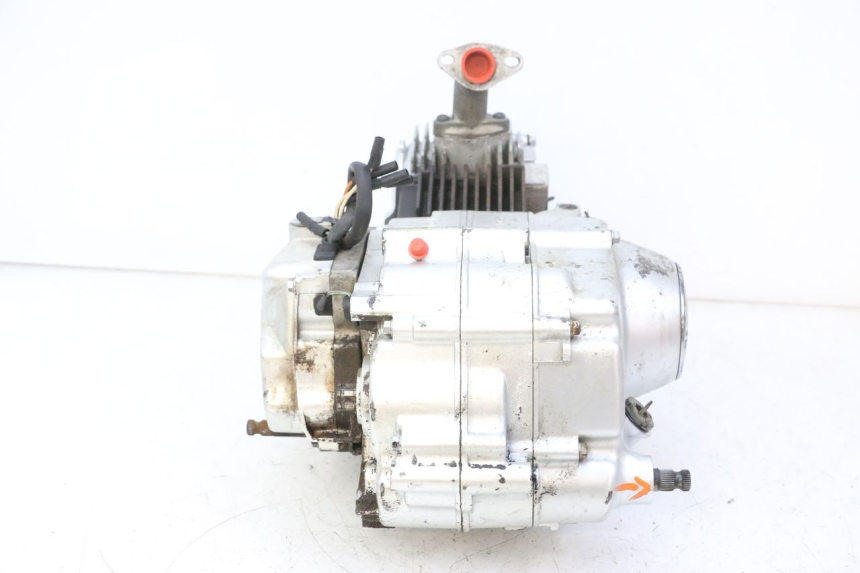 photo de MOTOR SKYTEAM DAX REPLICA 110 (2005 - 2015) - Detalhes característicos