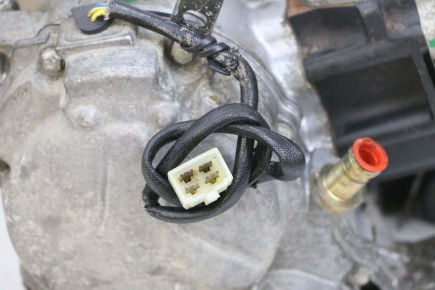 photo de MOTOR PEUGEOT ELYSEO 125 (1999 - 2004) - Peça verificada