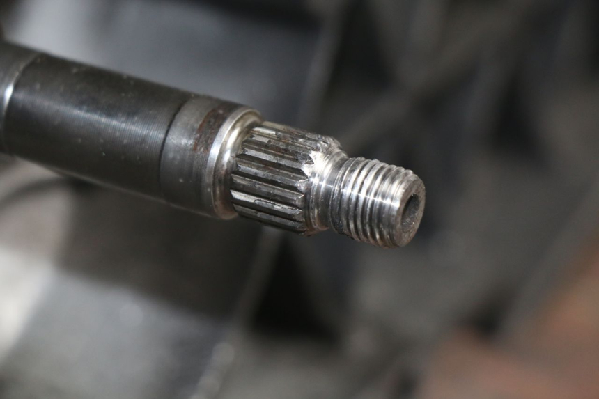 photo de MOTOR PEUGEOT ELYSTAR 125 (2002 - 2007) - Detalhes característicos