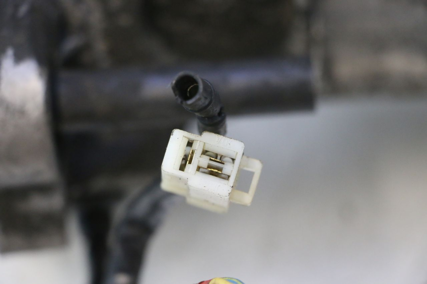photo de MOTOR PEUGEOT ELYSTAR 50 (2002 - 2014) - Ângulo alternativo