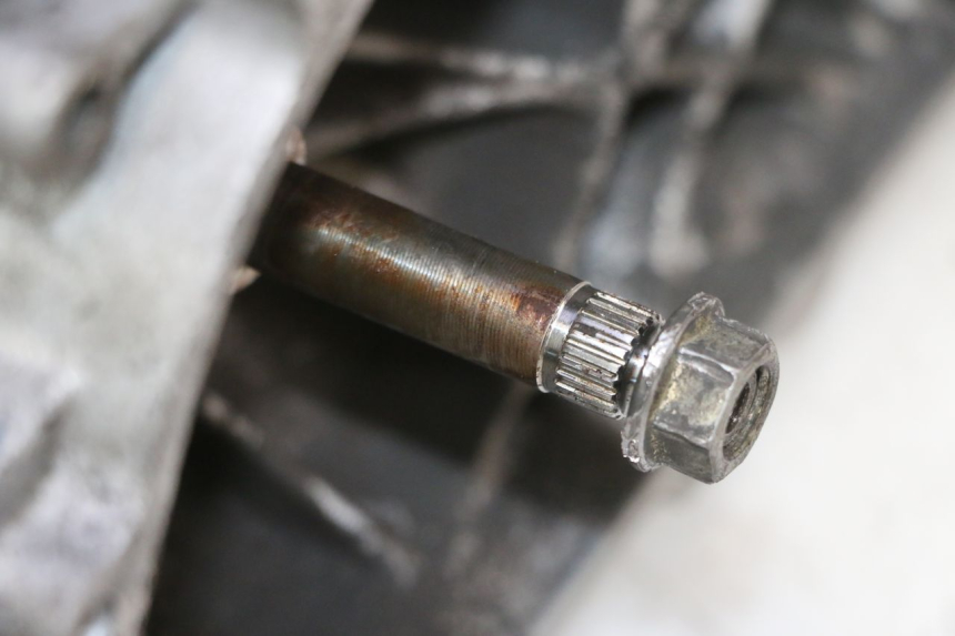 photo de MOTOR PEUGEOT ELYSTAR 50 (2002 - 2014) - Zoom do estado de desgaste