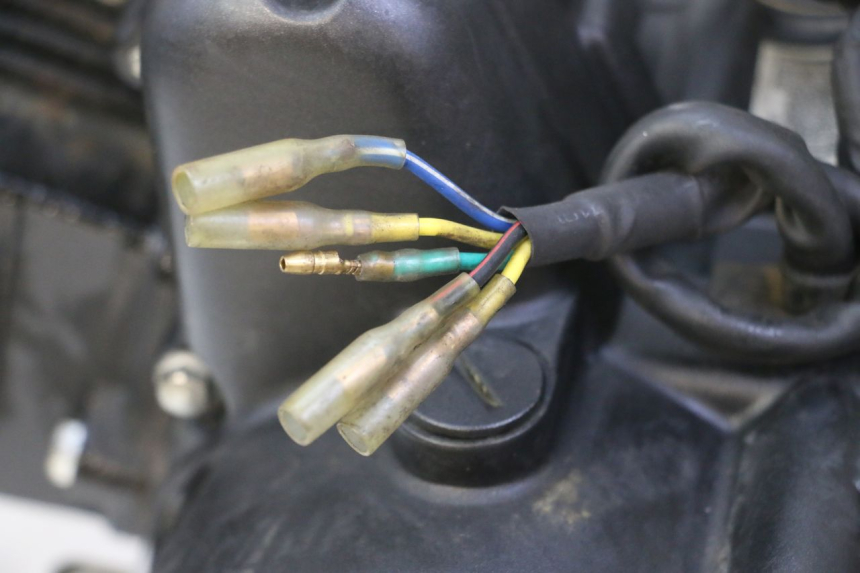 photo de MOTOR STAHO FH 50 (2018 - 2019) - Detalhes característicos