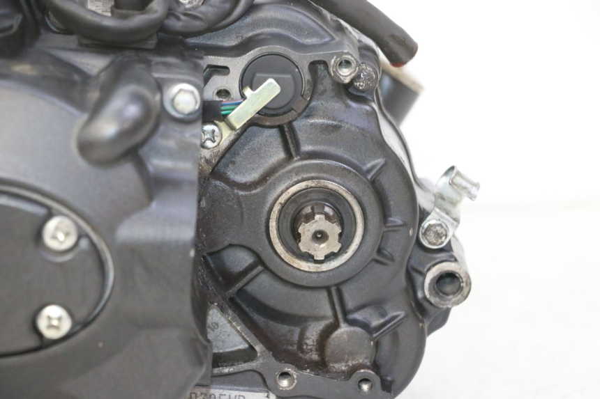 photo de MOTOR STAHO FH 50 (2018 - 2019) - Vista de perto