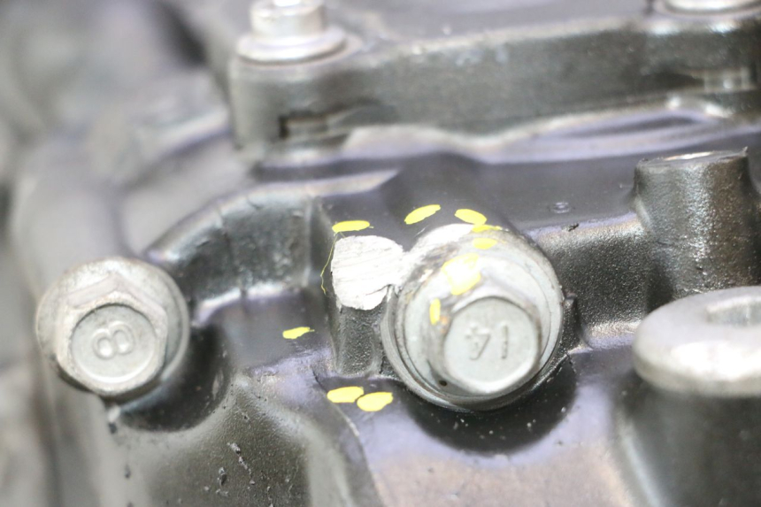 photo de MOTOR YAMAHA FZ8 800 (2010 - 2016) - Estado da superfície