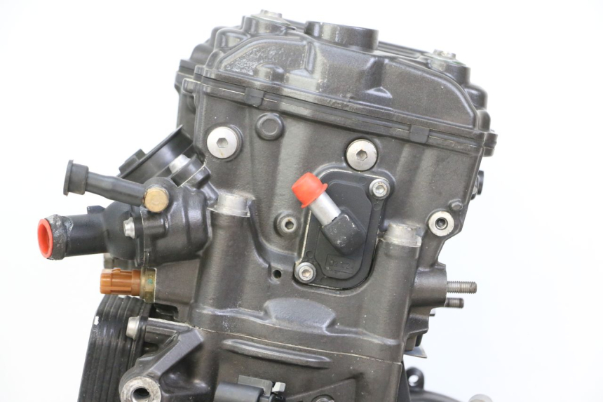 photo de MOTOR BMW G310 R 310 (2016 - 2020) - Detalhes característicos
