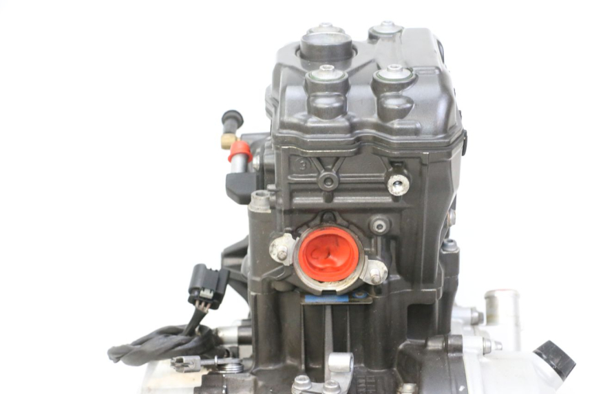 photo de MOTOR BMW G310 R 310 (2016 - 2020) - Pontos de fixação