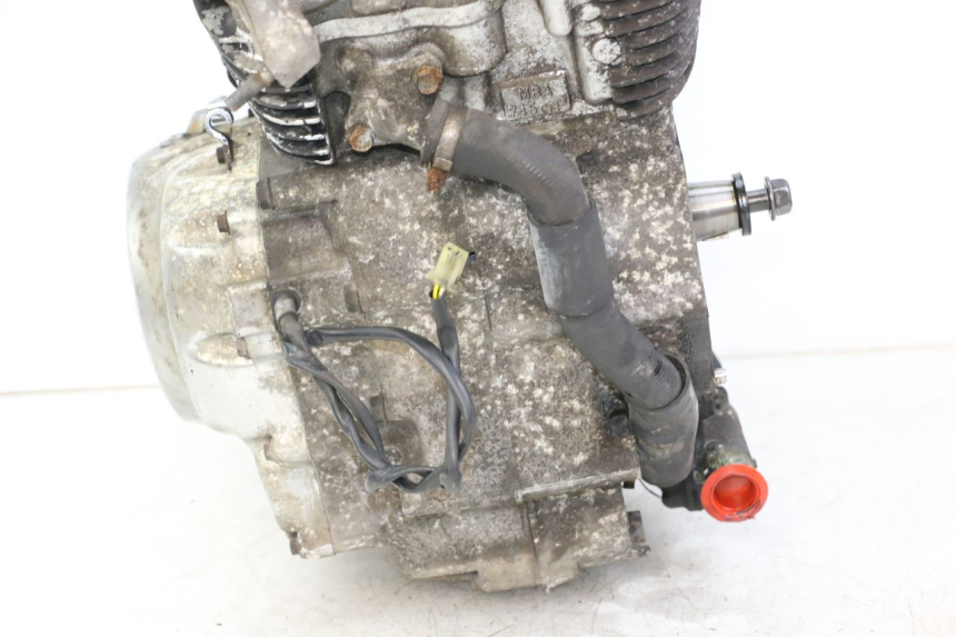 photo de MOTOR HONDA VT C2 SHADOW 750 (1997 - 2001) - Detalhe da peça