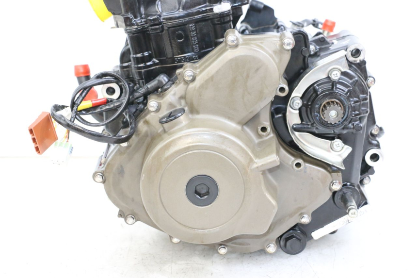 photo de MOTOR HUSQVARNA SVARTPILEN 401 (2018 - 2023) - Peça verificada