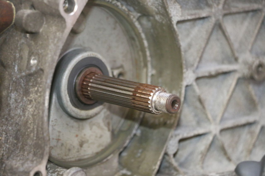 photo de MOTOR PIAGGIO LIBERTY 125 (1998 - 2008) - Detalhes característicos