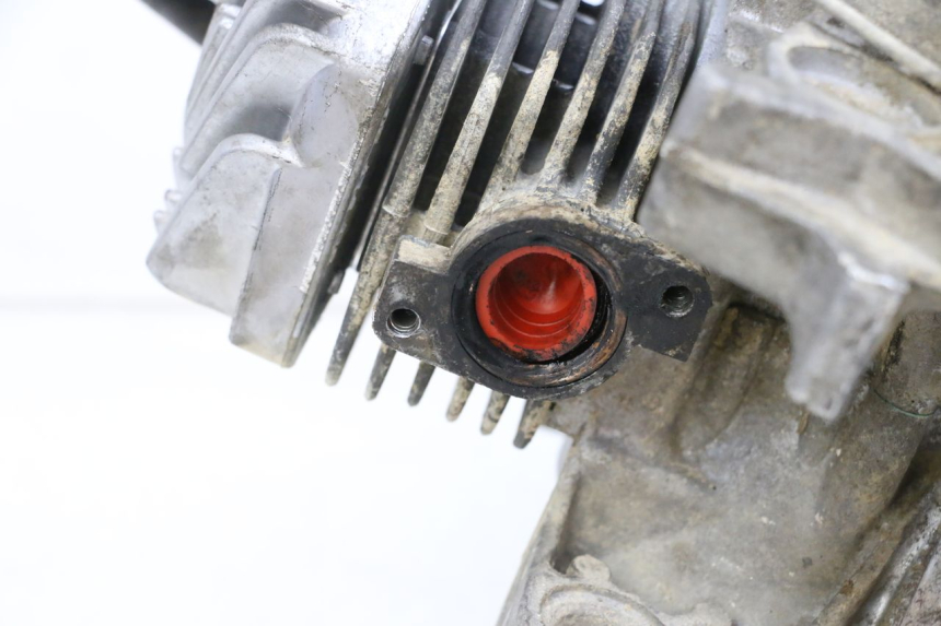 photo de MOTOR PEUGEOT LUDIX 50 (2005 - 2007) - Peça verificada