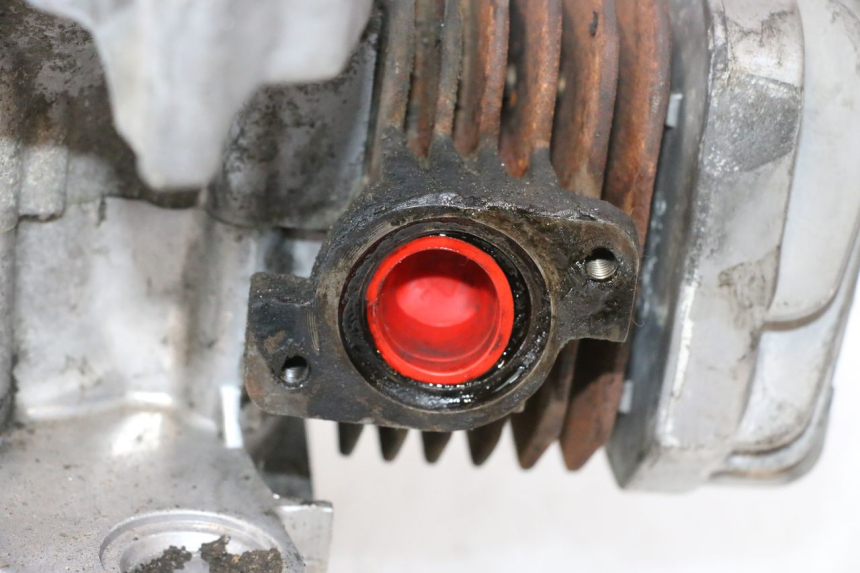 photo de MOTOR PEUGEOT LUDIX PRO 2T 50 (2010 - 2017) - Estado da superfície