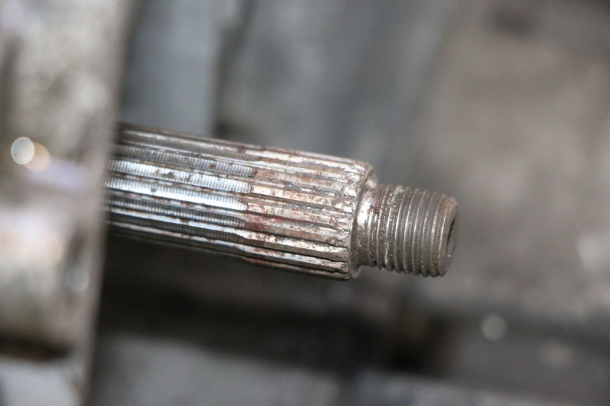 photo de MOTOR PIAGGIO MP3 125 (2006 - 2014) - Detalhe da peça