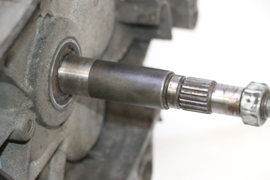 photo de MOTOR PIAGGIO MP3 125 (2006 - 2014) - Zoom de qualidade