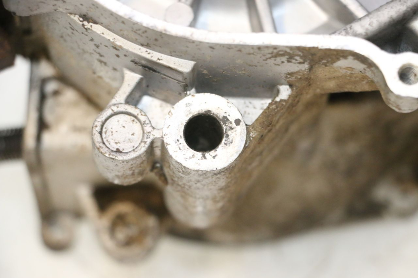 photo de MOTOR IMF INDUSTRIE NEW PACH 2T 50 (2014 - 2020) - Vista geral