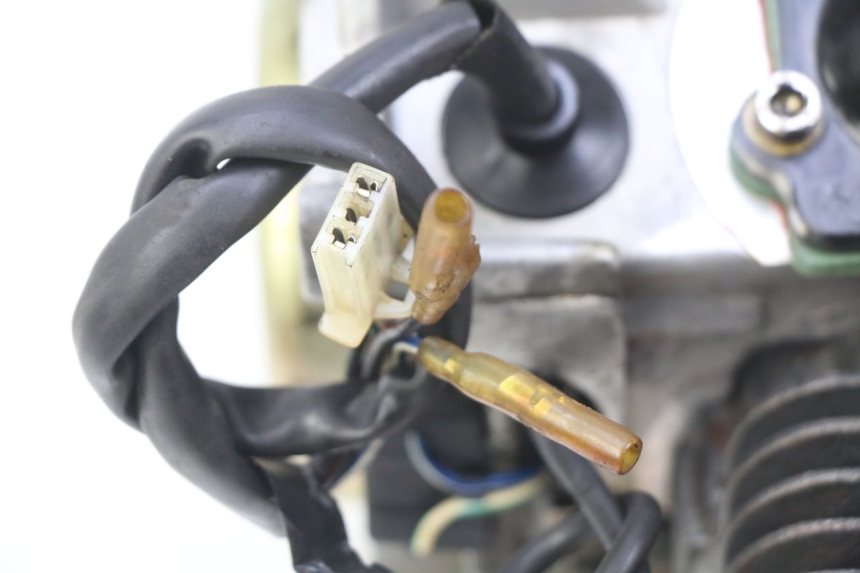 photo de MOTOR IMF INDUSTRIE PACH 2T 50 (2009 - 2018) - Vista de perto