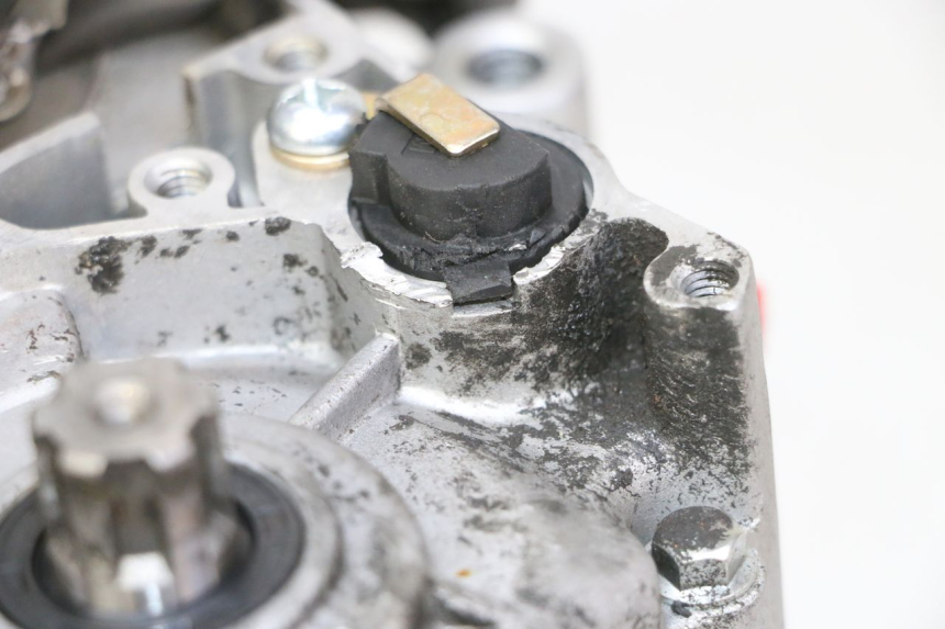 photo de MOTOR APOLLO RFZ 125 - Ampliação técnica