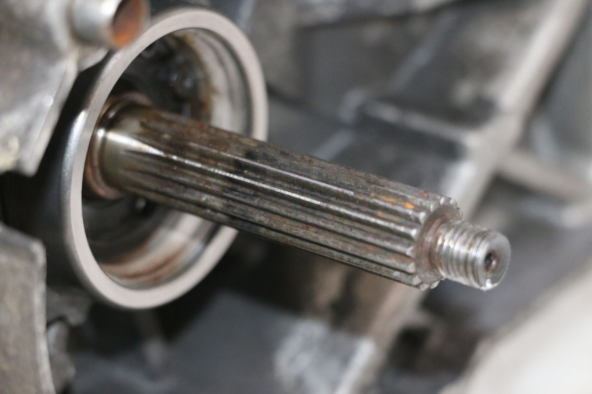 photo de MOTOR TNT MOTOR ROMA 10' 2T 50 (2011 - 2018) - Detalhes característicos