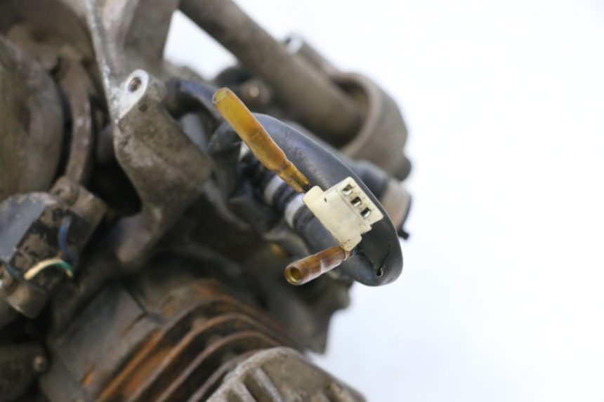photo de MOTOR TNT MOTOR ROMA 10' 2T 50 (2011 - 2018) - Ampliação técnica