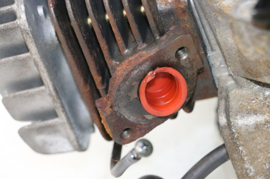 photo de MOTOR TNT MOTOR ROMA 12' 2T 50 (2007 - 2018) - Detalhe da peça