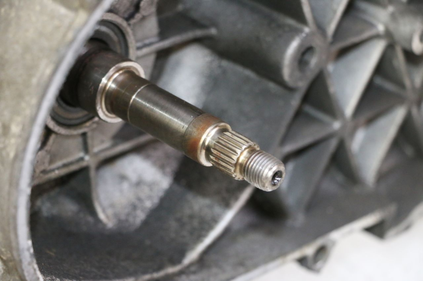 photo de MOTOR PEUGEOT SATELIS 125 (2006 - 2009) - Zoom de qualidade
