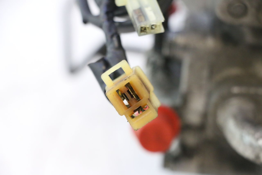 photo de MOTOR HONDA SH 125 (2001 - 2003) - Peça verificada