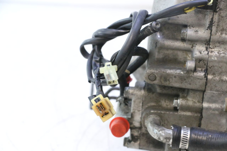 photo de MOTOR HONDA SH 125 (2001 - 2003) - Marcações e referências
