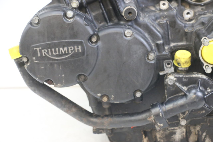 photo de MOTOR TRIUMPH SPEED TRIPLE T301 900 (1994 - 1996) - Imagem adicional