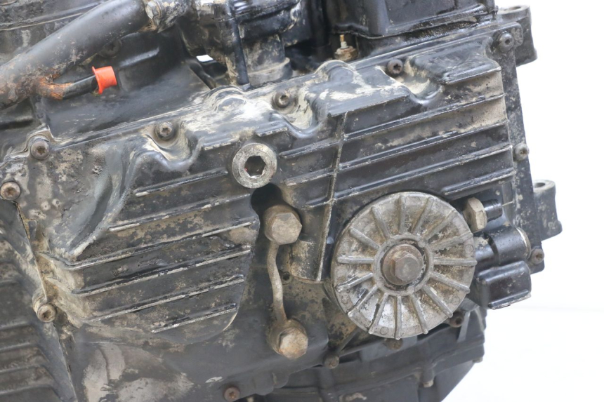 photo de MOTOR TRIUMPH SPEED TRIPLE T301 900 (1994 - 1996) - Vista geral