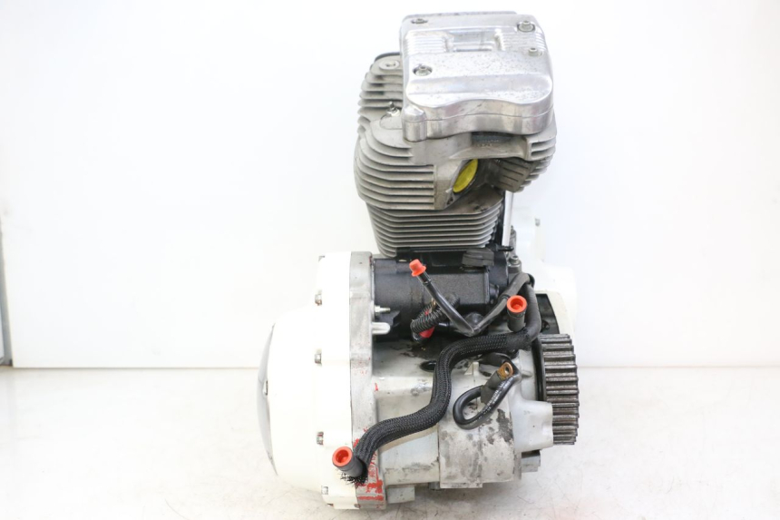 photo de MOTOR HARLEY DAVIDSON SPORTSTER XL CUSTOM 883 (1999 - 2006) - Zoom de qualidade