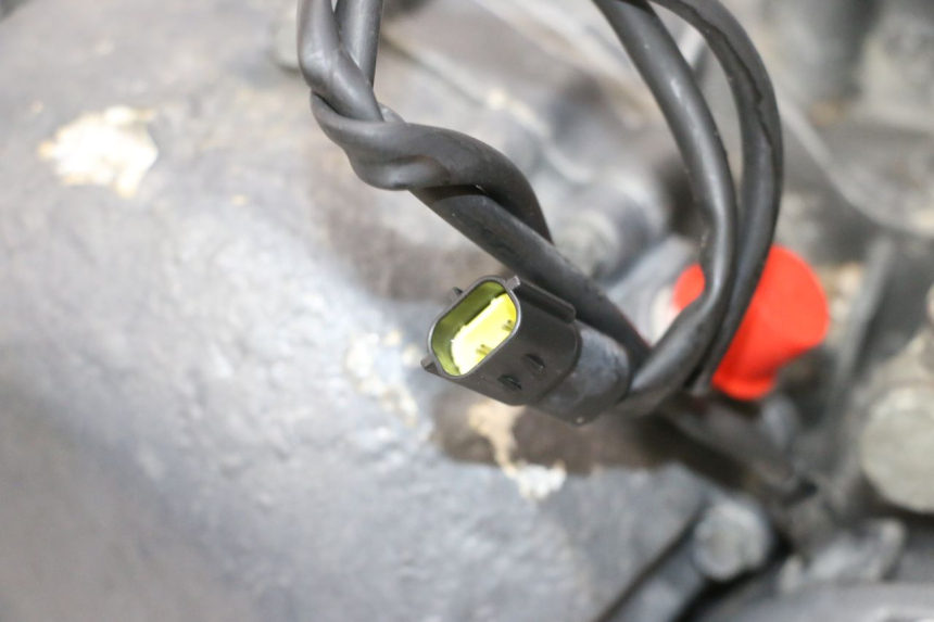 photo de MOTOR TRIUMPH SPRINT 900 (1995 - 1998) - Detalhe da peça