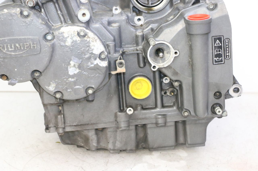 photo de MOTOR TRIUMPH SPRINT 900 (1995 - 1998) - Ampliação técnica