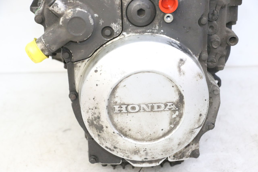 photo de MOTOR HONDA ST PAN EUROPEAN 1300 (2002 - 2013) - Vista do produto