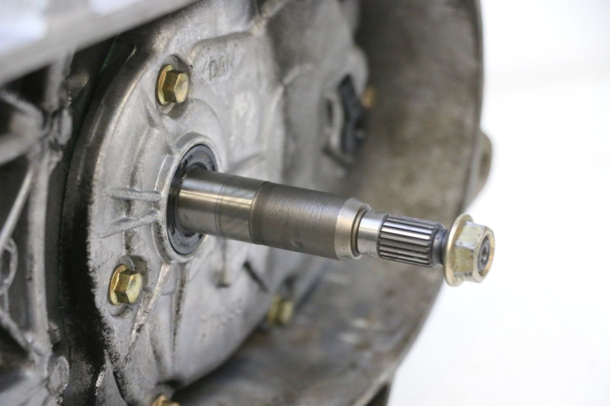 photo de MOTOR PEUGEOT STREETZONE NAKED 2T 50 (2014 - 2018) - Detalhe da peça