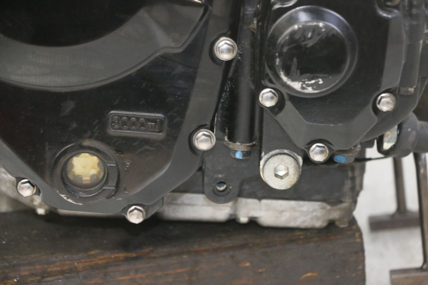photo de MOTOR SUZUKI GSX F GSXF 650 (2007 - 2015) - Detalhe da peça
